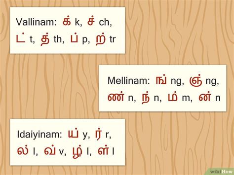 tamil vallinam mellinam idaiyinam|Tamil script